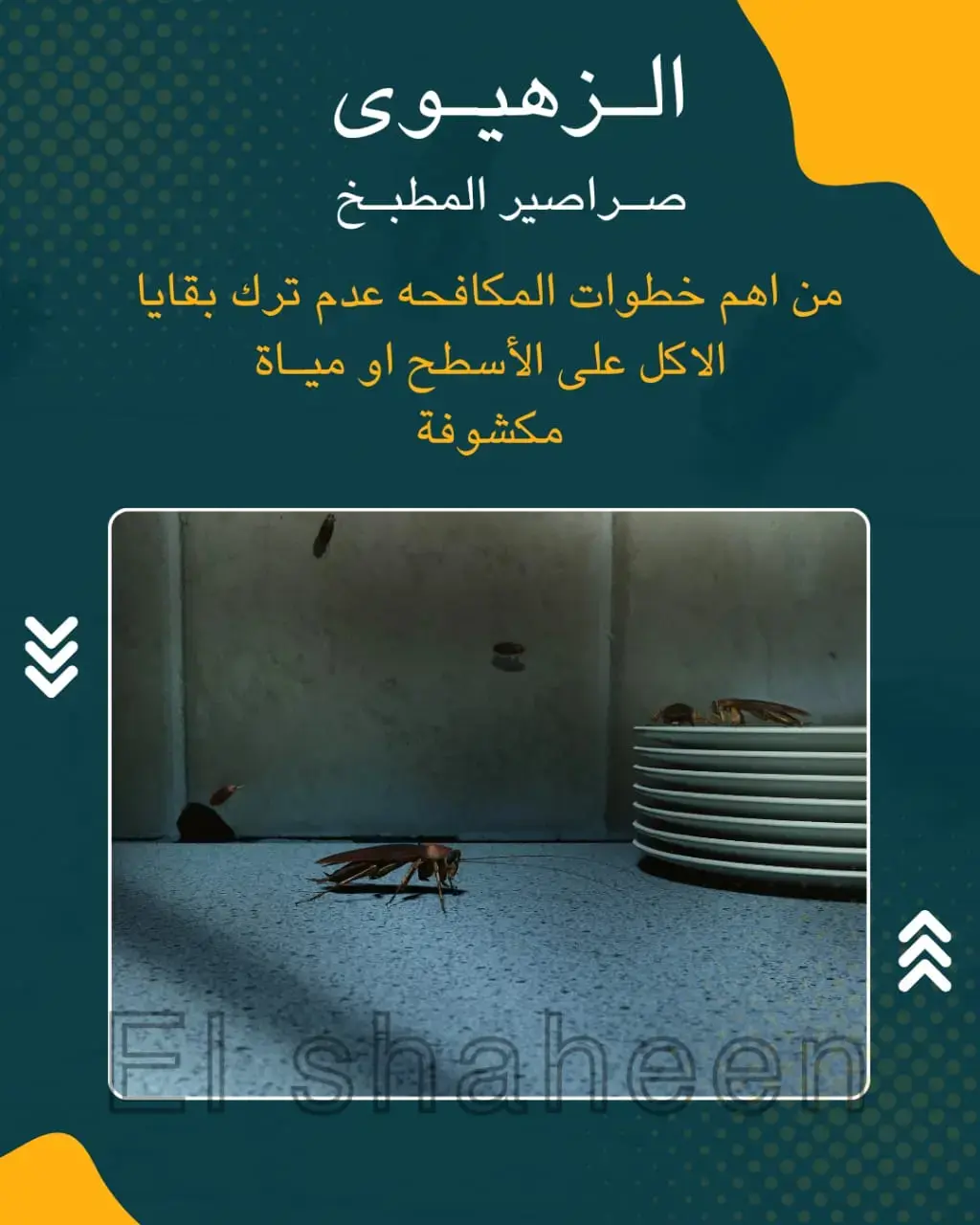 افضل شركة مكافحة حشرات وقوارض بالكويت