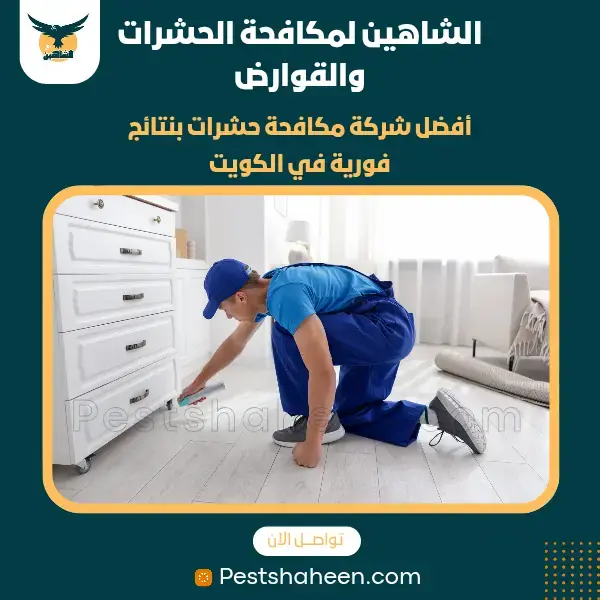 best pest controls company in kuwait