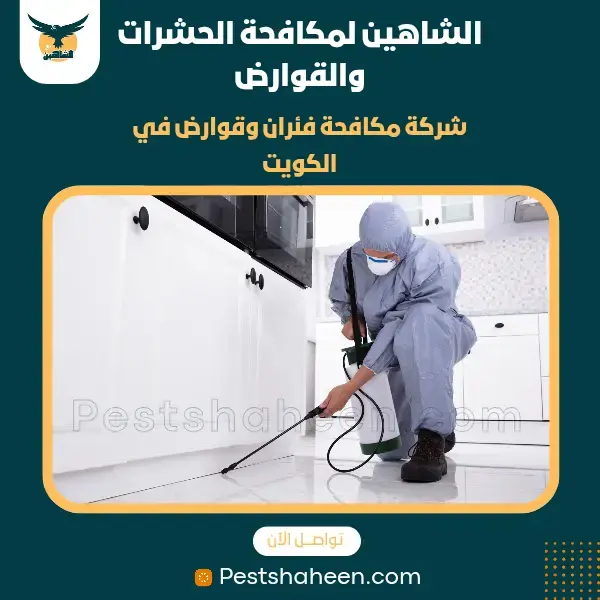 best pest controls company in kuwait