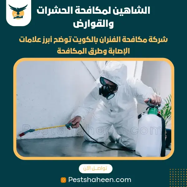 best pest controls company in kuwait