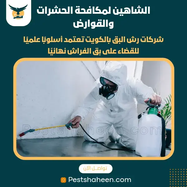 افضل شركة مكافحة حشرات وقوارض بالكويت