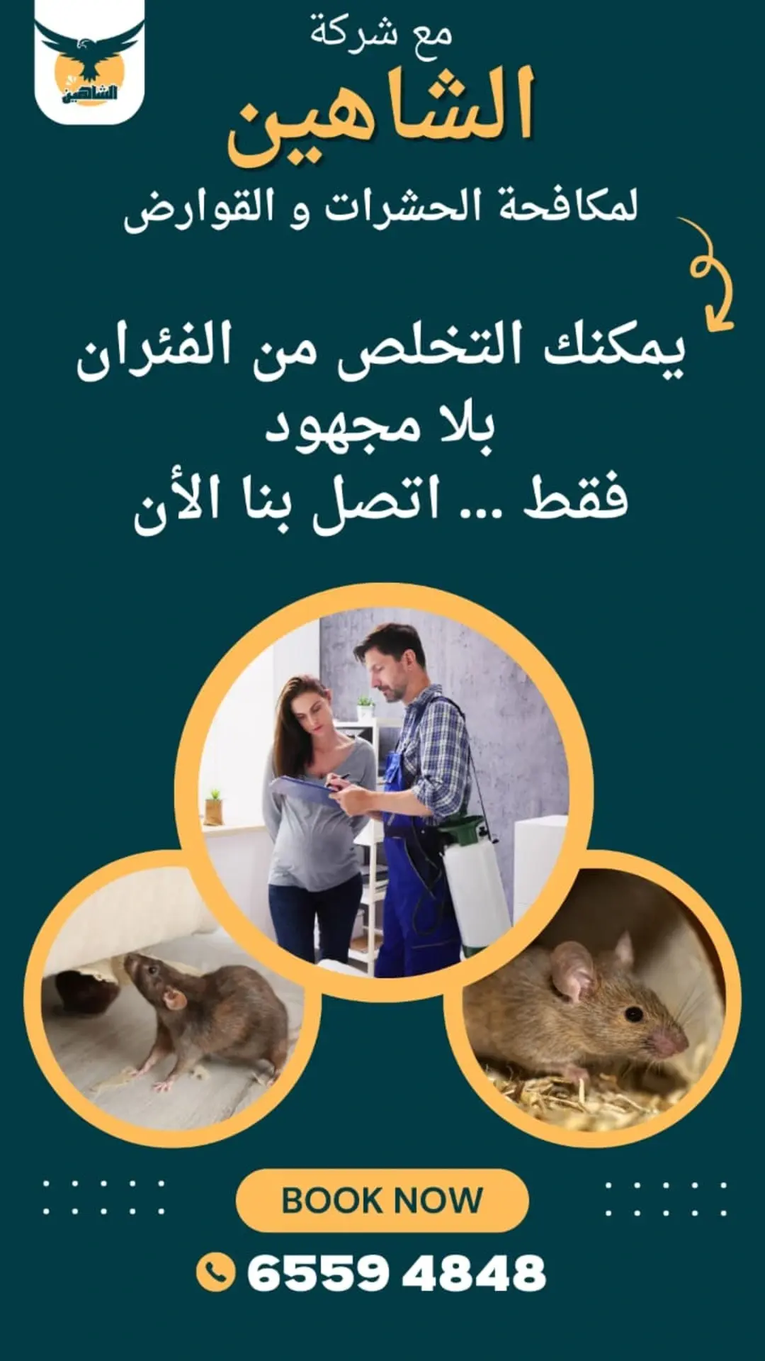 افضل شركة مكافحة حشرات وقوارض بالكويت