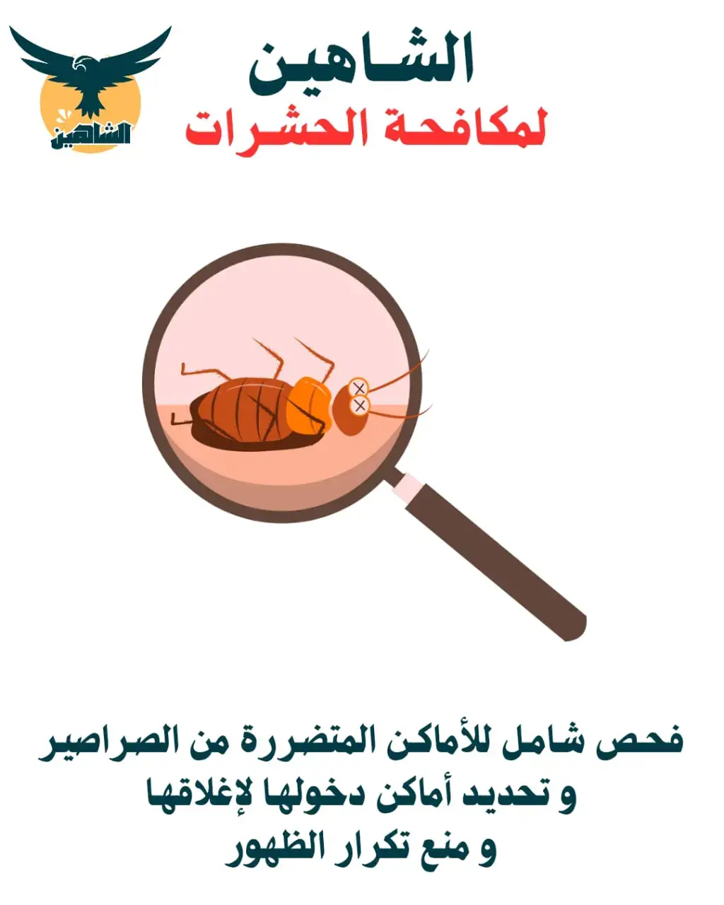 Shahin Cockroach Control in Khaitan offers fast, safe, and effective pest removal solutions. We guarantee a cockroach-free environment with professional, affordable services tailored to your needs.