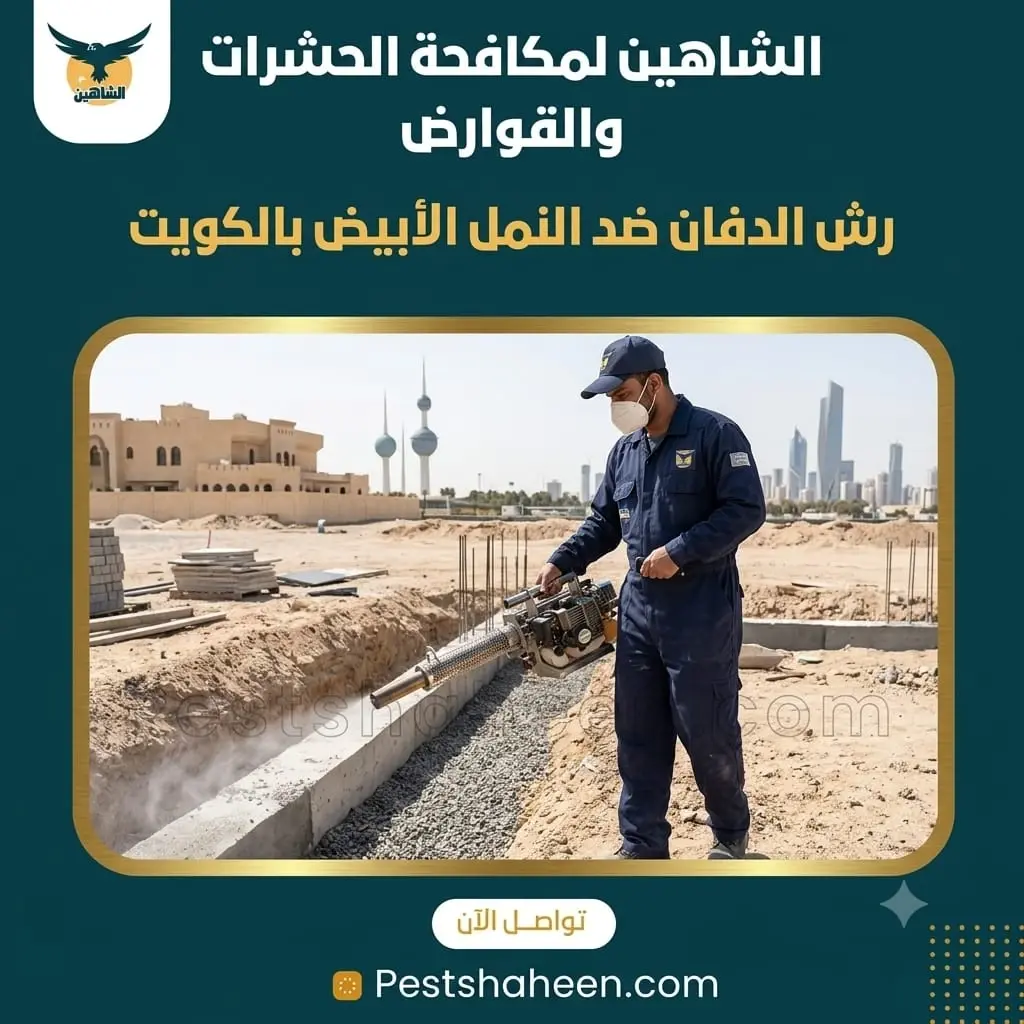 Termite Backfill Treatment in Kuwait Before Concrete Pouring