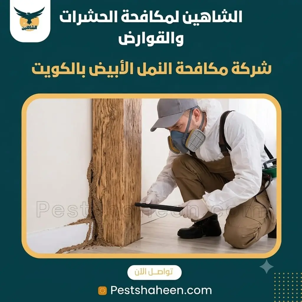 Termite Control Company in Kuwait and Building Protection