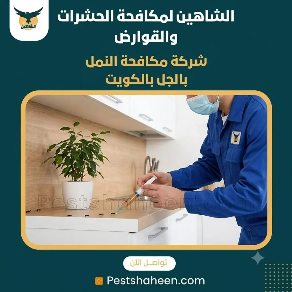 Ant Gel Treatment in Kuwait: When Is It Right for Infestations