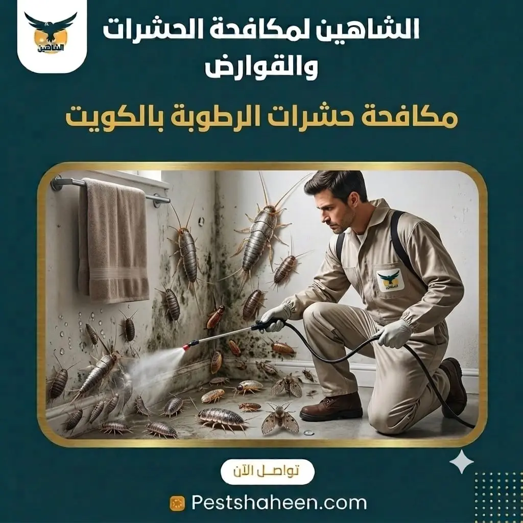Moisture Pest Control in Kuwait and Treating the Root Cause