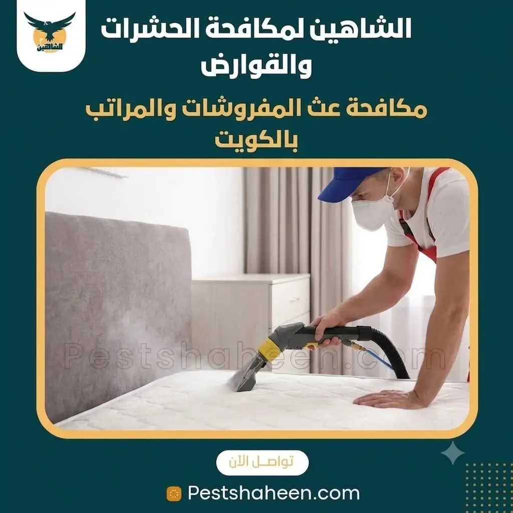 Dust Mite Control for Mattresses and Upholstery in Kuwait