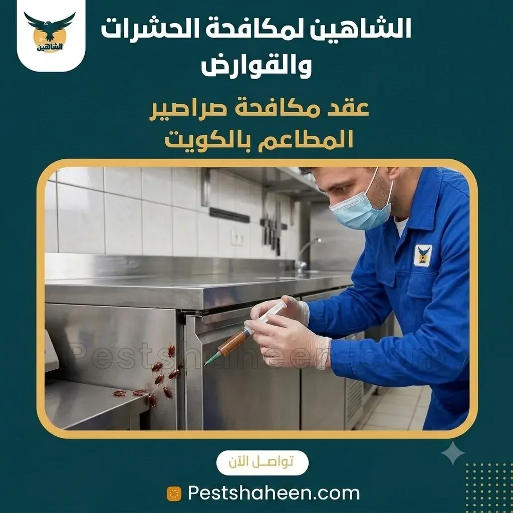 Restaurant Cockroach Control Contracts in Kuwait: What&amp;#039;s Included