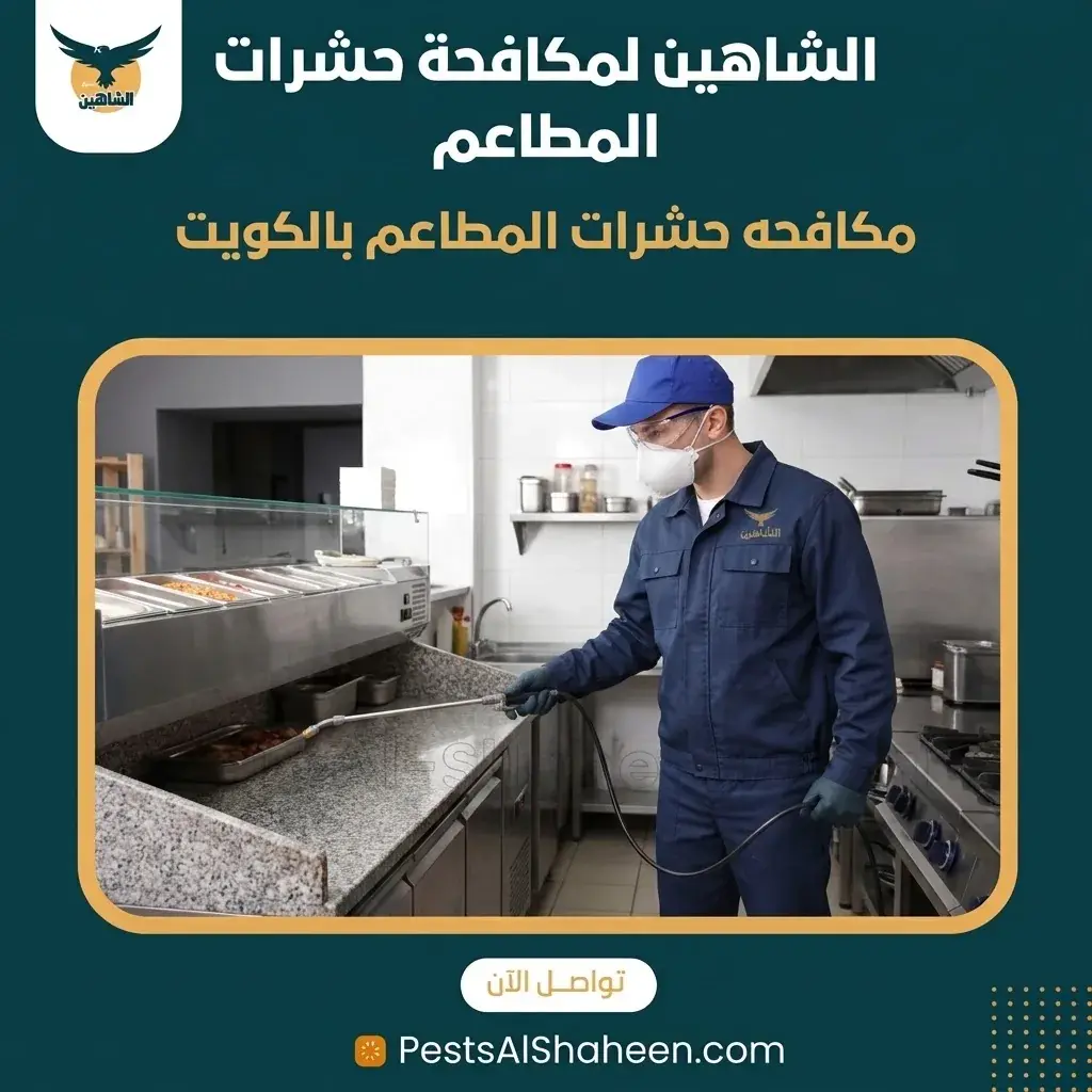 Restaurant Pest Control in Kuwait with Follow-Up Contracts